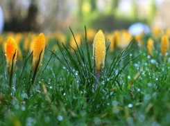 Первая половина выходного дня в Морозовске будет пасмурной