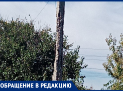 Почему нельзя все сделать вовремя, не дожидаясь беды? – морозовчанин об аварийной опоре ЛЭП на улице Пушкина