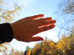 Солнечным и не слишком жарким станет четверг в Морозовском районе