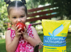 Без кальциевой селитры хороший урожай не соберешь
