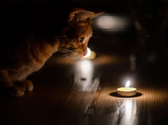 Замена приборов учета оставит без света жителей пяти улиц Морозовска