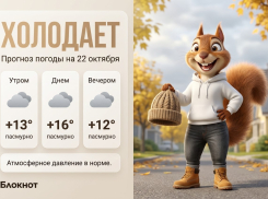 Холодает: прогноз погоды на 22 октября