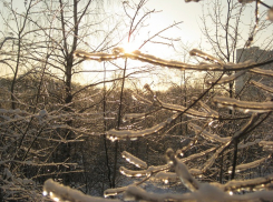 То снег, то дождь - предстоящая неделя будет для морозовчан непростой