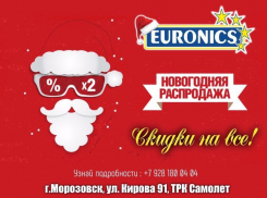 Успей на новогоднюю распродажу в Euronics!