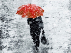 Дождь со снегом ждет морозовчан перед Старым Новым годом