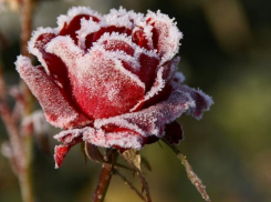 Температура воздуха в Морозовске понизится до -2
