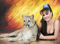 Всего два дня в Морозовске: Гастроли цирка-шоу шапито Полины Запашной 