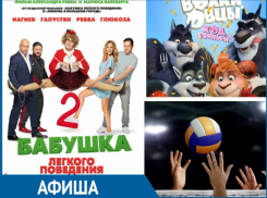 Футбол, волейбол и последние кино-новинки: чем и где развлечься в Морозовске на этой неделе