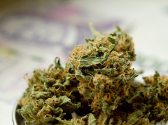 Больше двух килограммов марихуаны нашли сотрудники полиции у 51-летнего морозовчанина