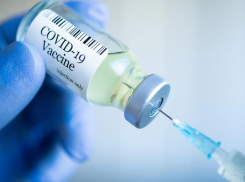 11713 морозовчан сделали прививки от коронавируса