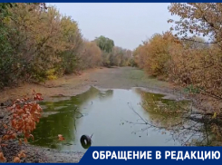 «А в детстве в ней купались»: морозовчане бьют тревогу о состоянии реки Быстрая