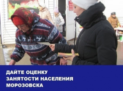 Многодетным матерям и недавним студентам в Морозовске сложно устроиться на работу: Итоги 2016 года