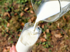 5,7% проб молочной продукции на Дону оказалась фальсификатом