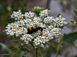 Тепло сменяется дождями: о погоде в воскресенье