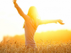 Столбик термометра в Морозовске снова начнет расти