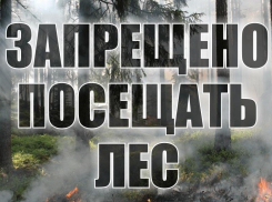 Опасно и нельзя: жителей Морозовска попросили быть осторожнее с огнем и не ходить в лес