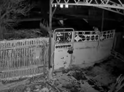 Банда малолетних хулиганов повредила автомобиль жителя Морозовска 