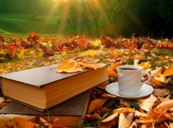 До +21 градуса тепла обещают морозовчанам в среду, 4 октября