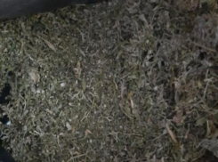 До 10 лет лишения свободы может получить морозовчанин за незаконное хранении наркотиков