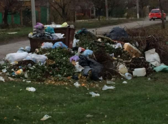 Штрафы для любителей нагромождать строительный мусор и ветки возле баков в Морозовске ужесточили