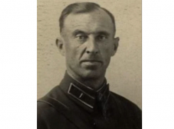 Как собаки спасали тысячи жизней при освобождении Морозовска во времена ВОВ