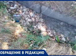 Ливневый сток на улице Ворошилова обещали почистить еще в прошлом году, - морозовчанка