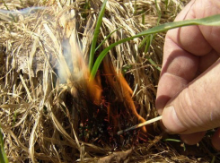 До 300 000 рублей штрафа можно получить, просто спалив траву в Морозовском районе