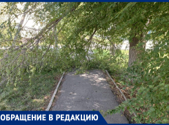 Поперек тротуара на улице Димитрова в Морозовске рухнула часть дерева