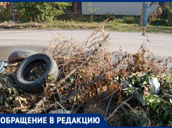 За песок штрафуют выборочно, а за мусор, которые лежит по всему городу, не штрафуют, - морозовчанка