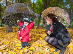 Названы суммы, которые ОСЗН Морозовского района направил на выплаты семьям с детьми