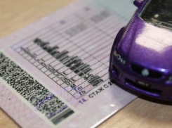 Граждане ДНР, ЛНР и Украины смогут обменять водительские удостоверения в России без сдачи экзаменов