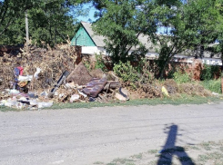 До сведения регоператора довели информацию о кучах мусора на улицах Морозовска