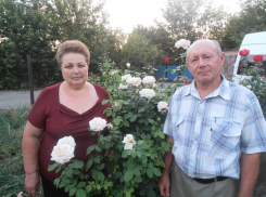 Полвека вместе: супруги Божковы из хутора Вознесенский отмечают золотую свадьбу