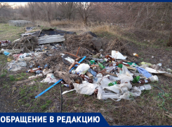 Морозовчане вывозят мусор в лесополосу в микрорайоне «Лазорики»