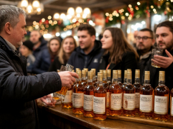 Общественники требуют полный запрет на продажу спиртного до конца новогодних праздников