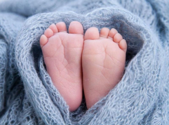 102 мальчика и 108 девочек родились в Морозовском районе в 2023 году