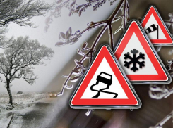 Профилактическая акция «Безопасная зимняя дорога» стартовала на Дону с 20 декабря