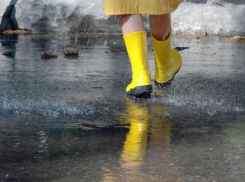 Небольшой дождь и до +6 градусов тепла обещают морозовчанам в среду, 3 апреля