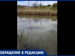 Серо-зеленая вода и вонь: председатель СНТ «Заря» в Морозовске снял на видео реку Быструю