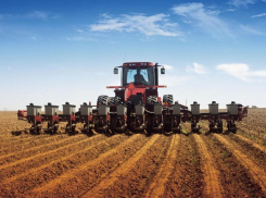 68 тысяч гектаров озимых зерновых культур будет посеяно в Морозовском районе под урожай будущего года