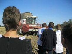 Школьники из хутора Вишнёвка совершили экскурсию на производственные участки хозяйства