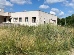 Куда обращаться по вопросу покоса травы в микрорайоне «Тексер» пояснили в администрации Морозовского района