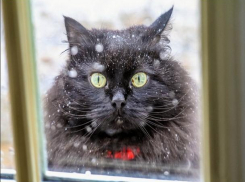 Утром 7 февраля в Морозовске ожидается снегопад