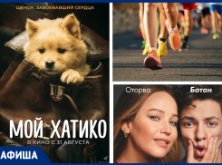 Областной сельский легкоатлетический пробег пройдет в Морозовске 2 сентября