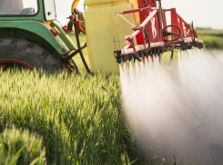  ЗАО «Вишневское» в Морозовском районе объявили предостережение за запоздавшее предупреждение в местной газете об обработке полей пестицидами