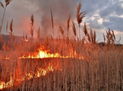 Морозовчанам напомнили о риске возникновения природных пожаров