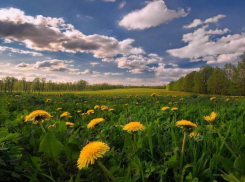 Облачно с прояснениями: дождь в Морозовске на время прекратится