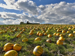 Переменную облачность и до +28 градусов тепла обещают морозовчанам в субботу