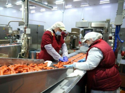 Сальмонелла и плесень обнаружены на производстве популярной у морозовчан мясной продукции 