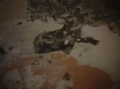 Ужасное состояние подъезда на улице Луначарского в Морозовске показали на видео 